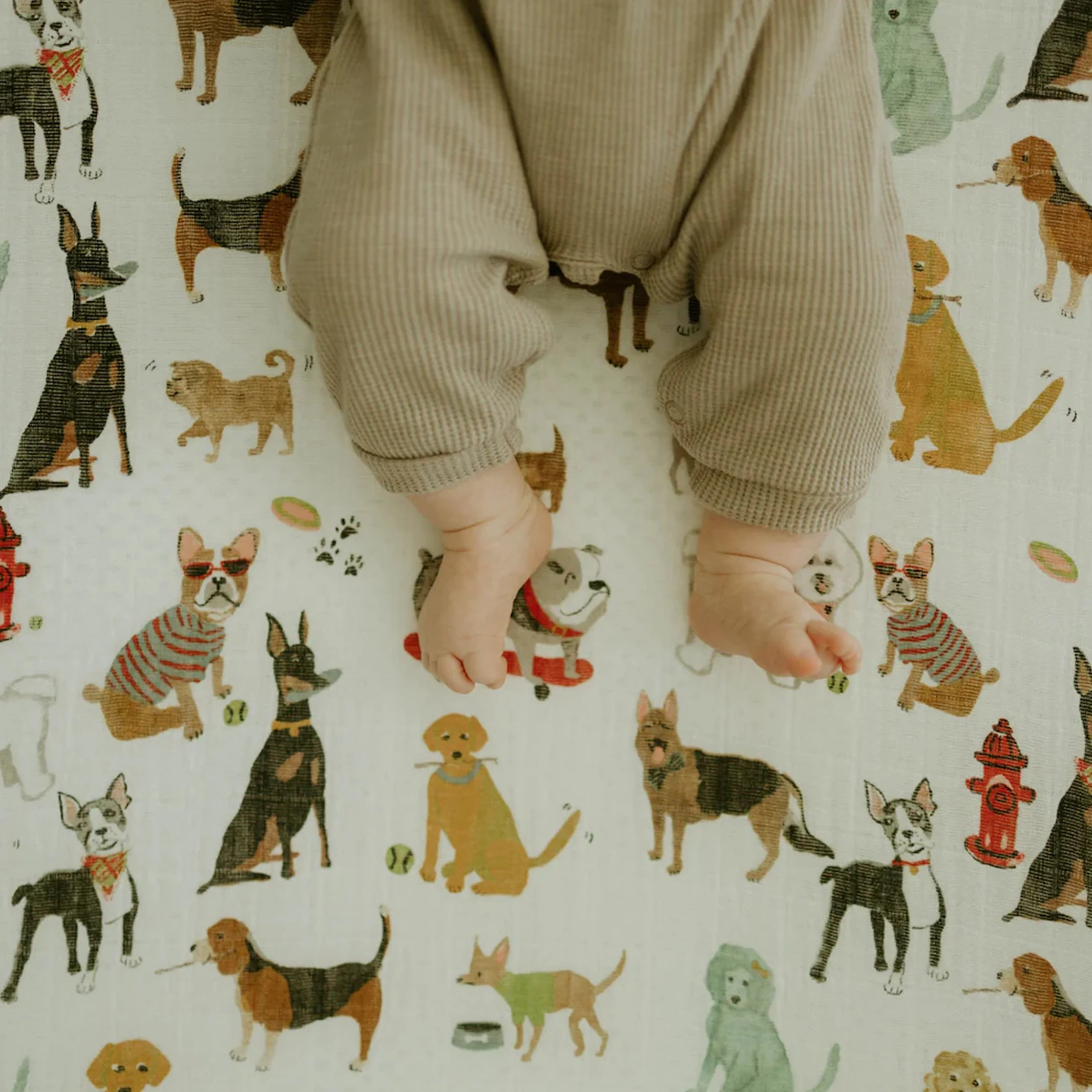 Cotton Muslin Crib Sheet - Woof - Image 6