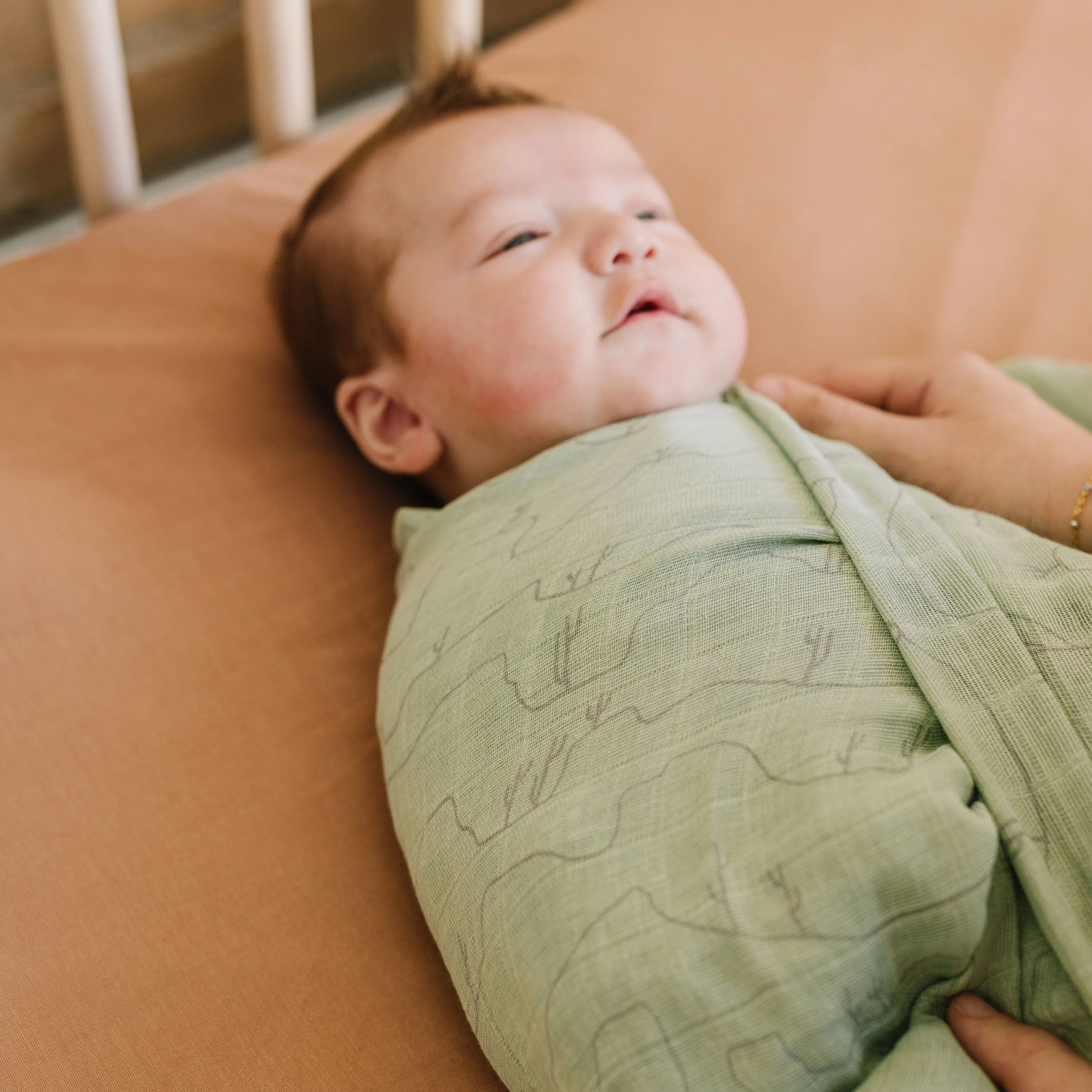 Cotton Muslin Swaddle Blanket - Cactus Lines - Image 5
