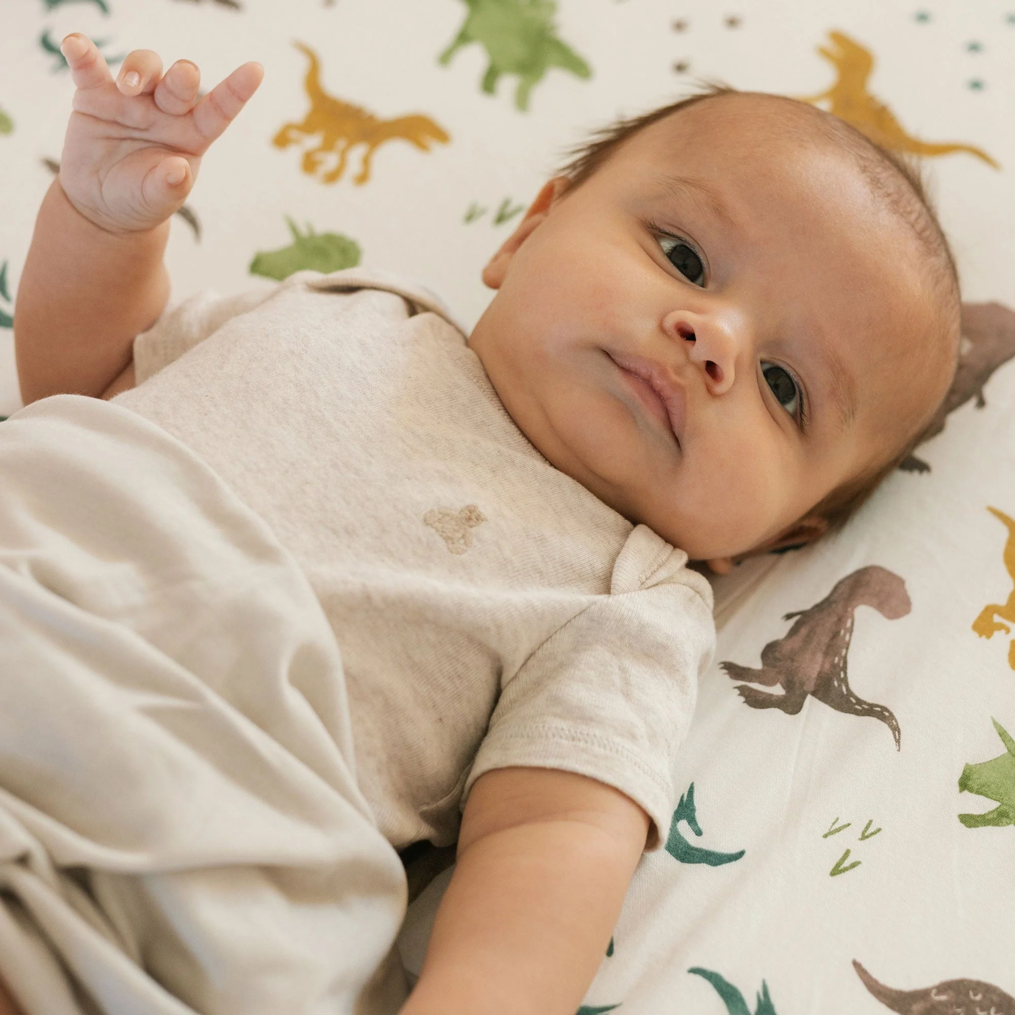 Stretch Knit Crib Sheet - Dino Pals - Image 4