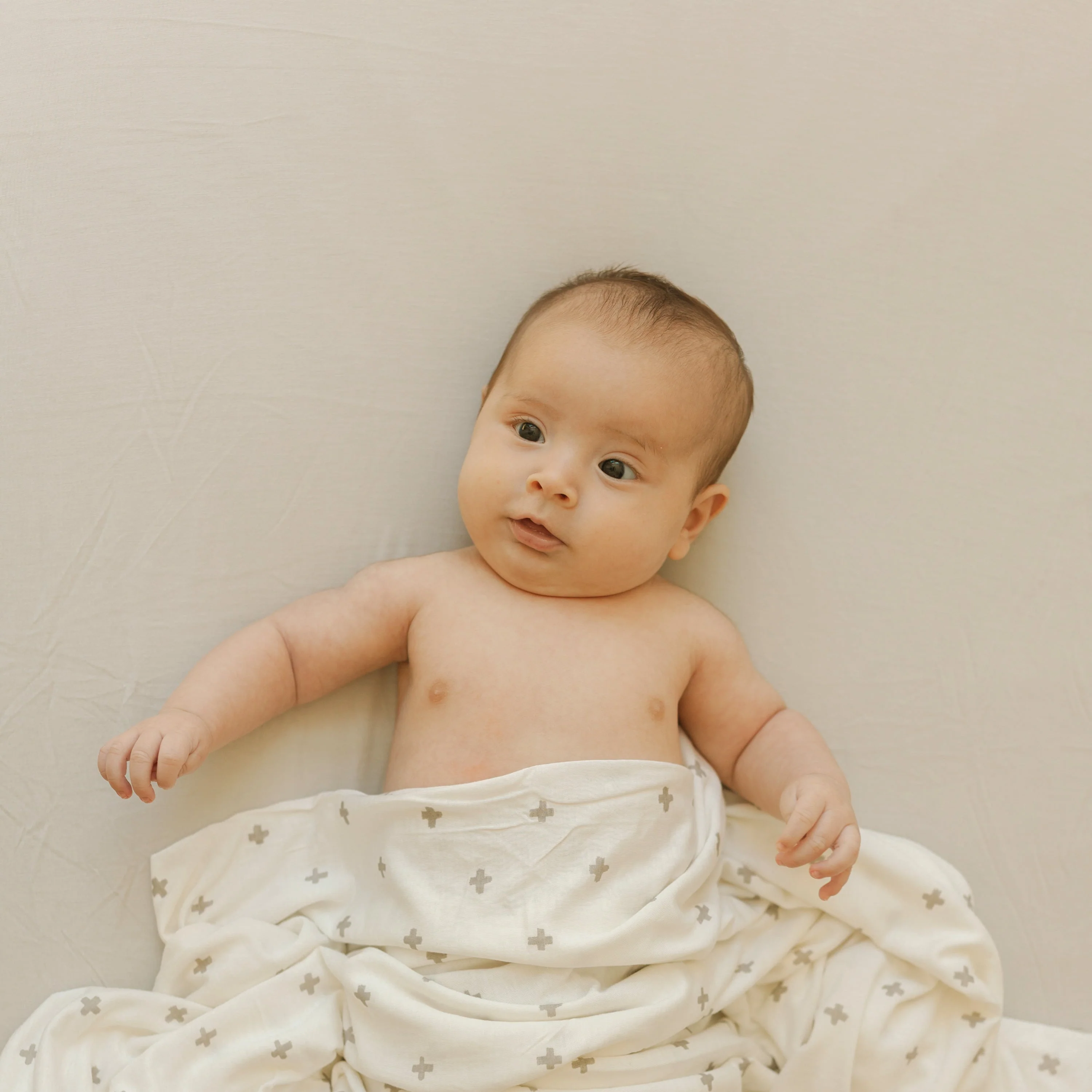 Stretch Knit Crib Sheet - Pebble - Image 3