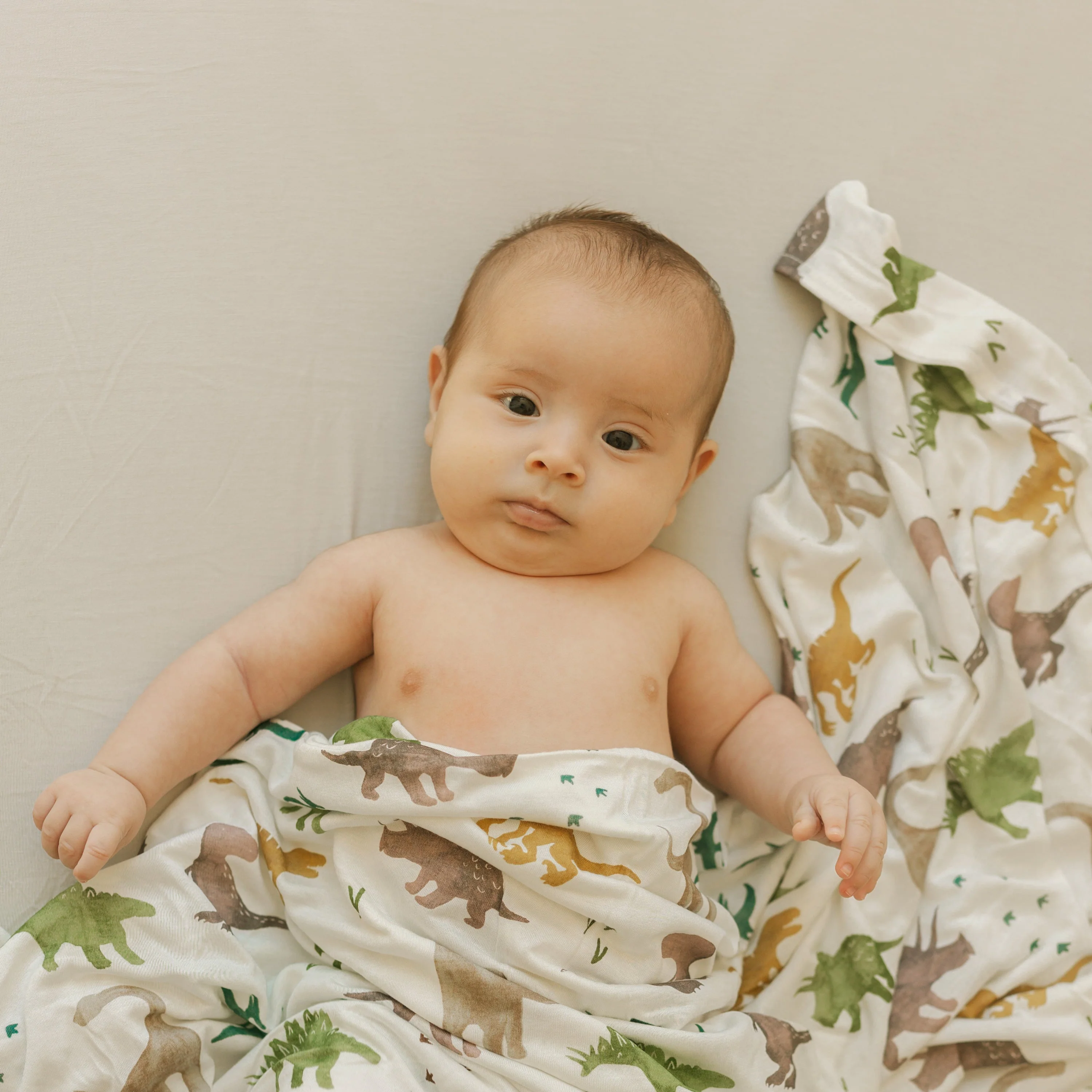 Stretch Knit Crib Sheet - Pebble - Image 4